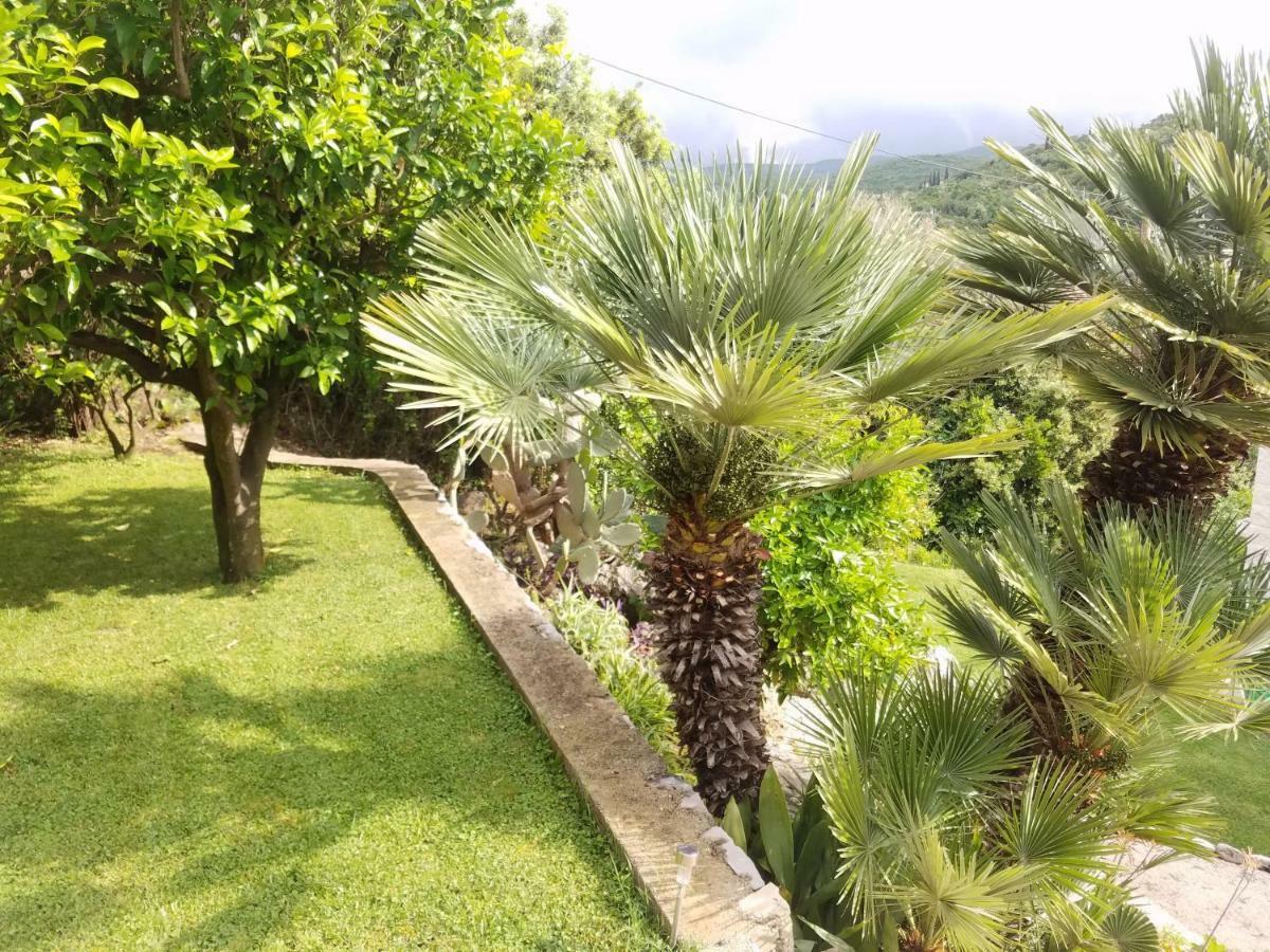 Marivo Guest House Molunat Exterior photo
